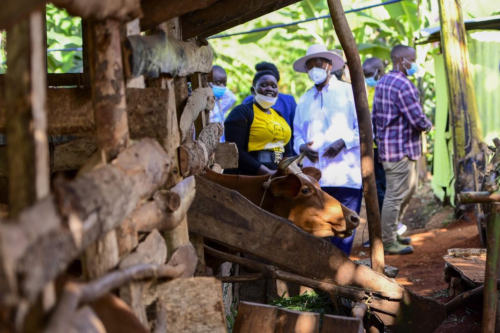 A Visit to My Granddaughter A Journey of Wealth Creation in Kapchorwa