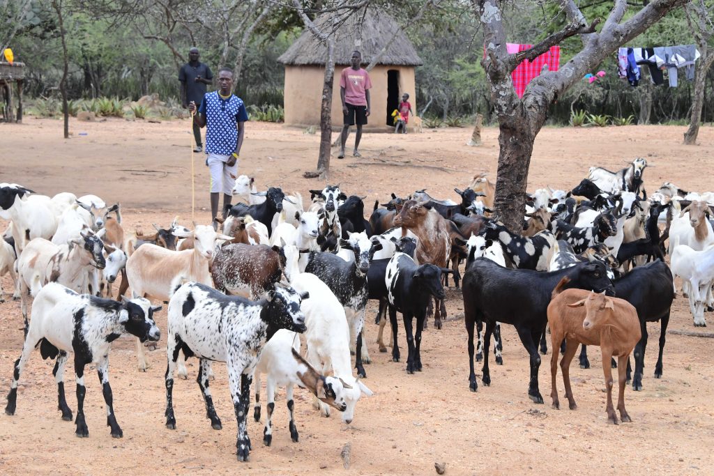 The Role of PDM and Commercial Agriculture in Achieving Prosperity in Uganda 