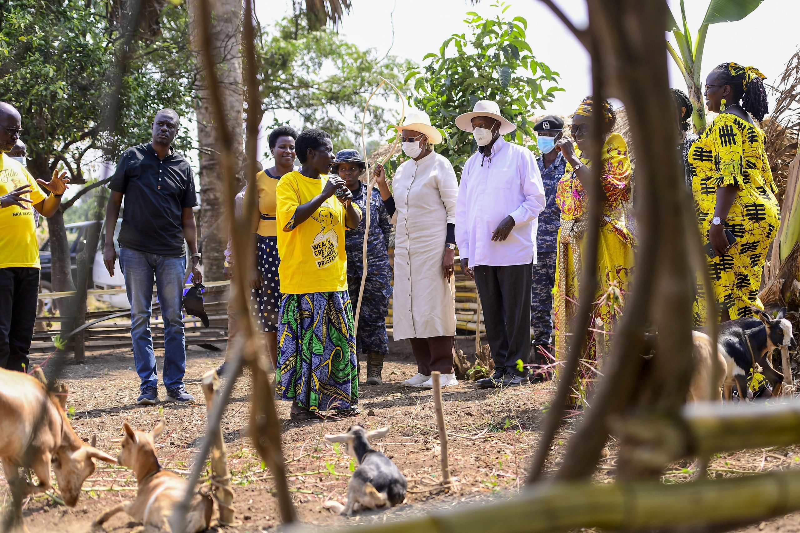 Empowering Farmers, Rose and Vicky’s Journey with PDM