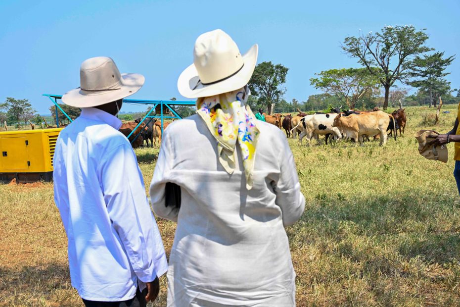 Harnessing Land for Prosperity, Jowel Okello’s Success in Lango