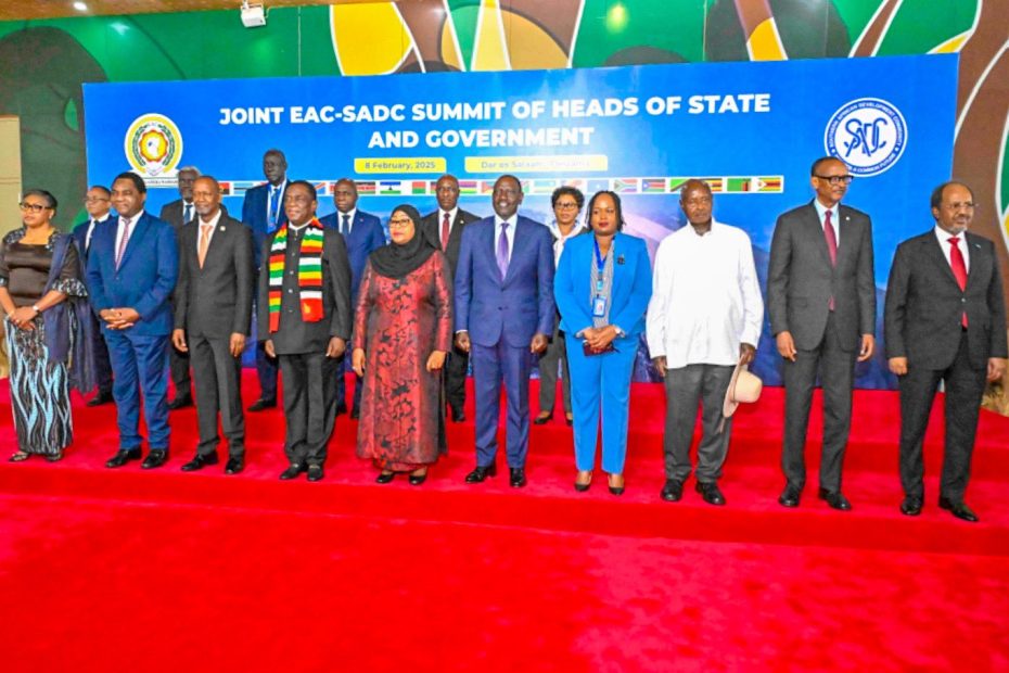 Seeking Peace, Attending the EAC-SADC Joint Summit on the DRC Crisis