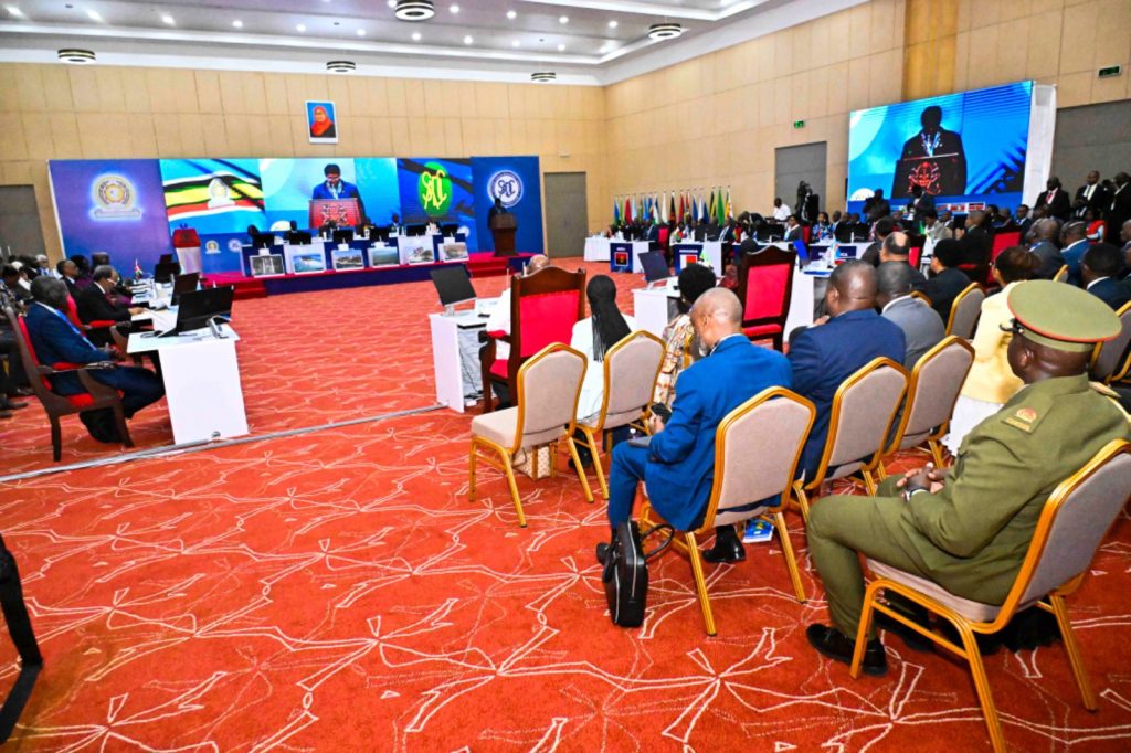 Seeking Peace, Attending the EAC-SADC Joint Summit on the DRC Crisis
