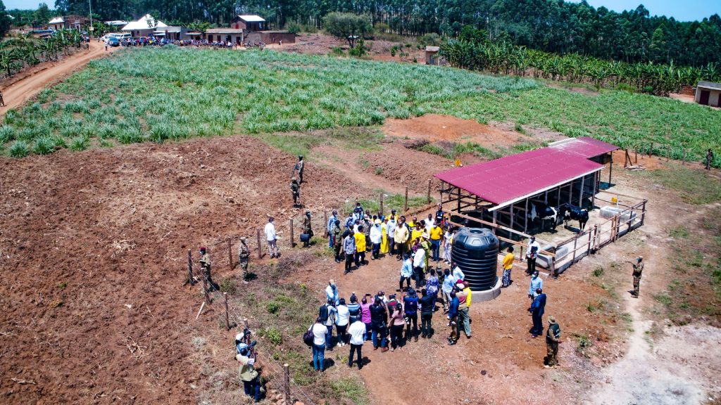 Empowering Local Communities in Combating Poverty through Wealth Creation and Skills Development