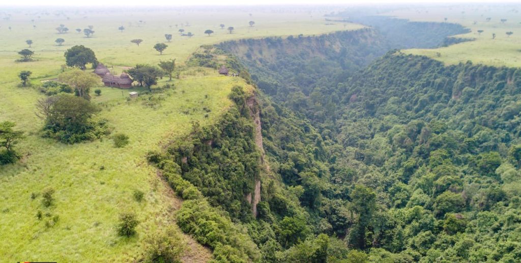 Exploring Maramagambo A Glimpse of Eastern Africa's Natural Beauty