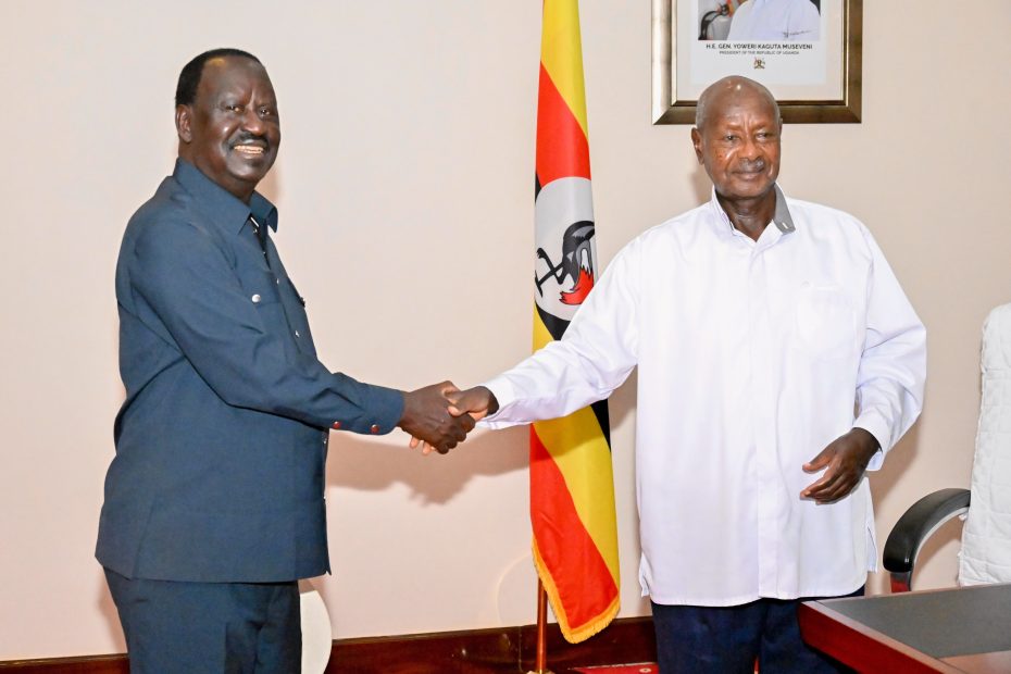 Strengthening Regional Security at a Meeting with Rt. Hon. Raila Odinga on South Sudan