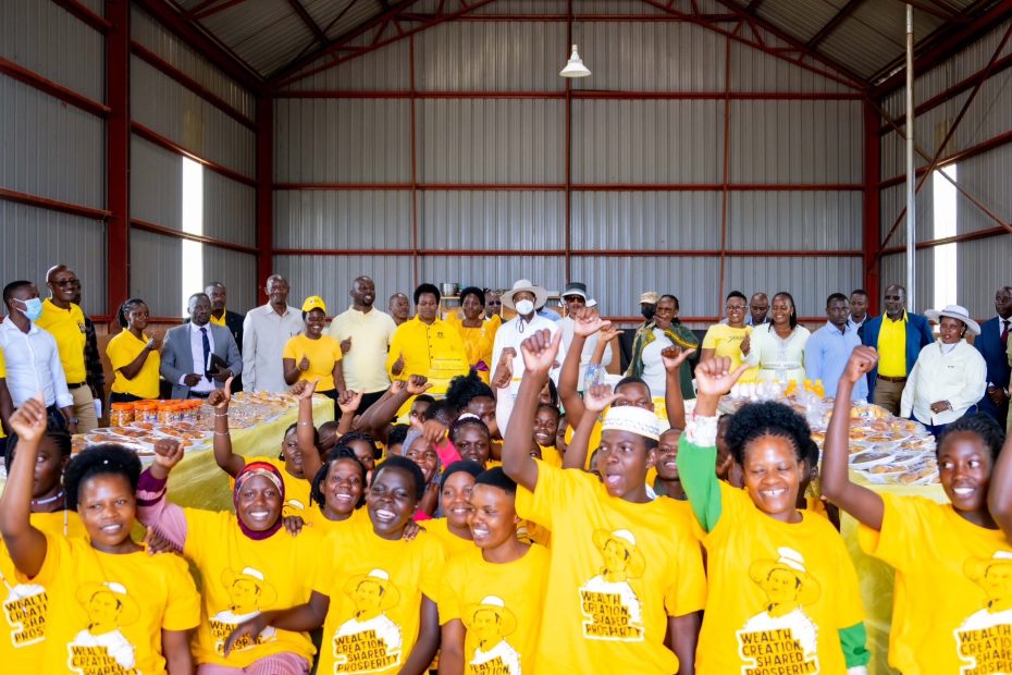Skilling for the Money Economy Maximizing Free Education and Expanding Industrial Hubs
