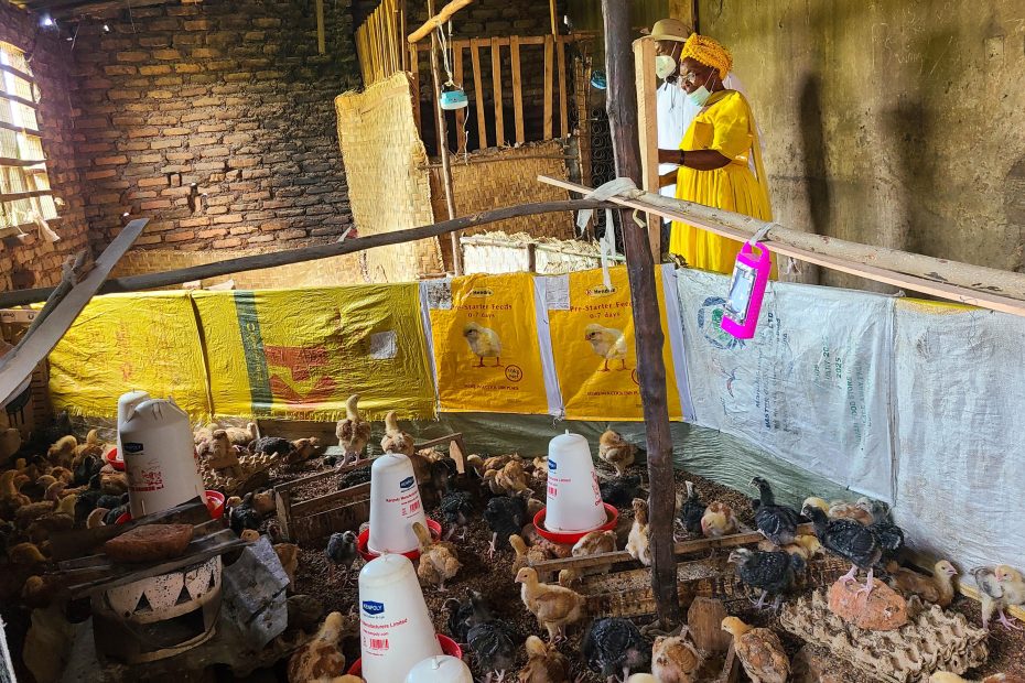 Empowering Through Opportunity like Biira’s Story and Uganda’s Path to Self-Reliance