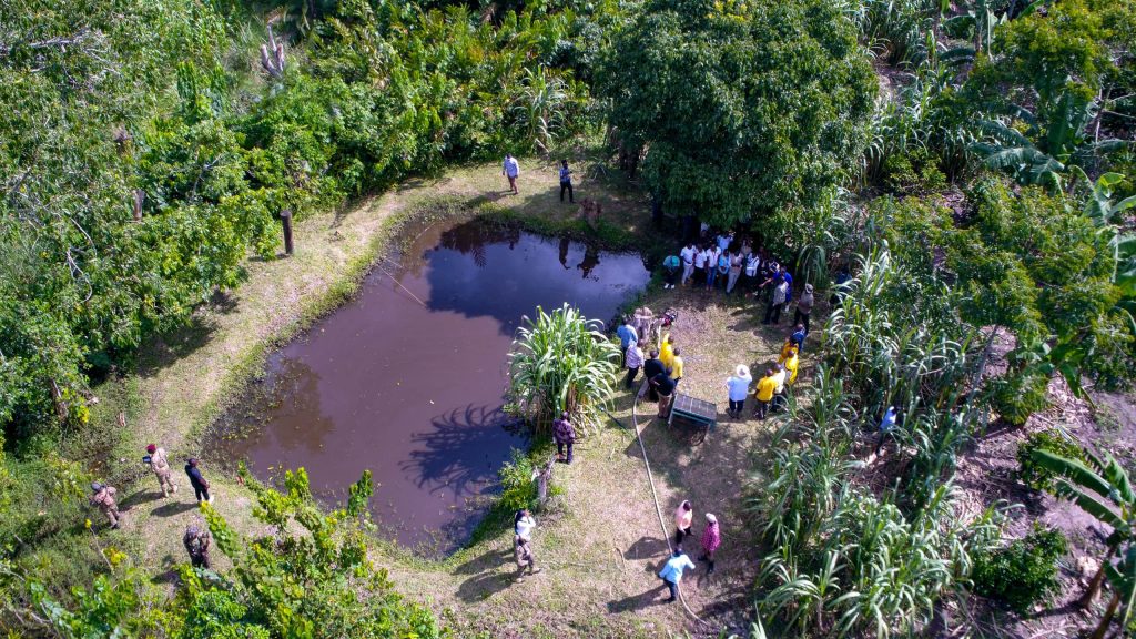 From Maize to Millions see How Coffee Farming Transformed a Life in Kamwenge