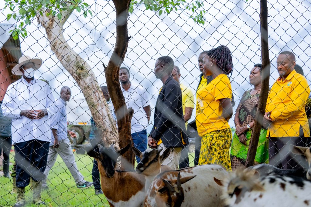 From Poverty to Prosperity a Leadership and the Power of Opportunity