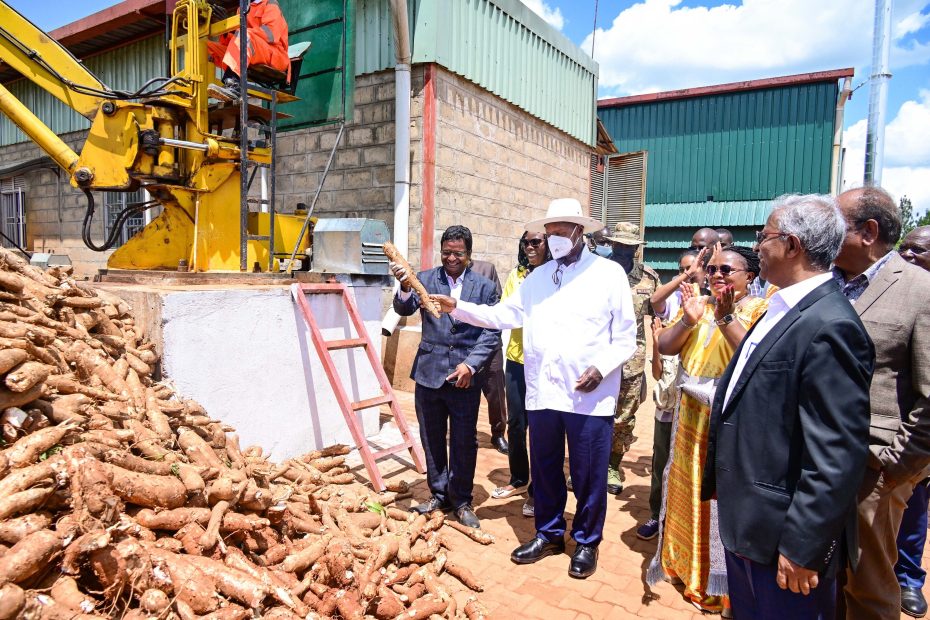 Boosting Industrial Growth and Food Value Addition Through Cassava Processing in Nakasongola