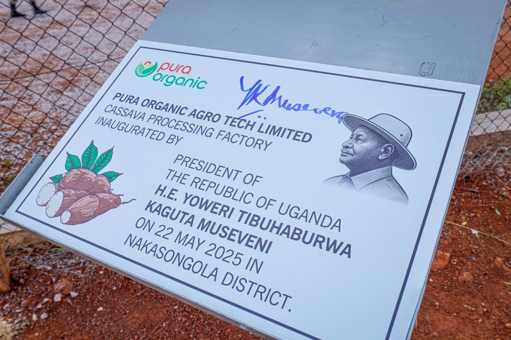 Boosting Industrial Growth and Food Value Addition Through Cassava Processing in Nakasongola