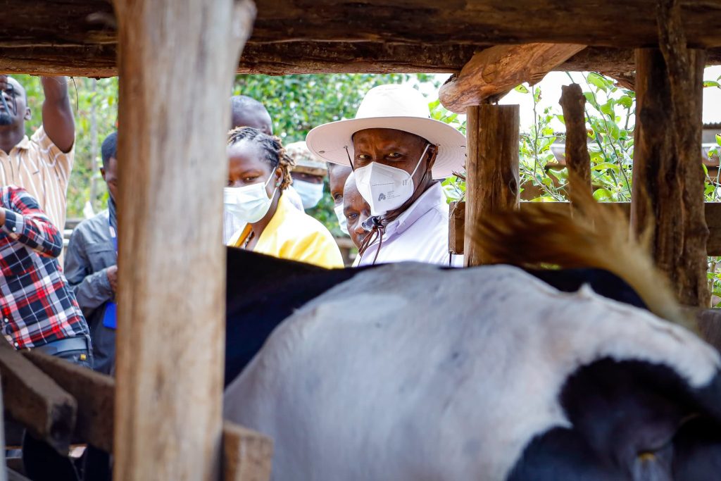 Congratulating Hajji Mohammed Zziwa for Exemplifying NRM Values Through Hard Work and Smart Farming