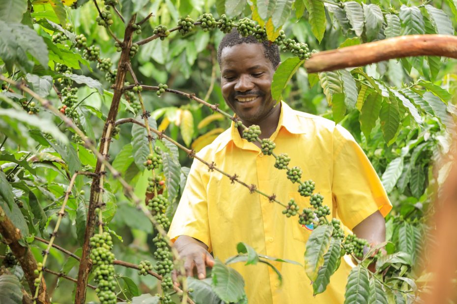 Hope and Enterprise on Half an Acre, Muhereza Wako’s Journey