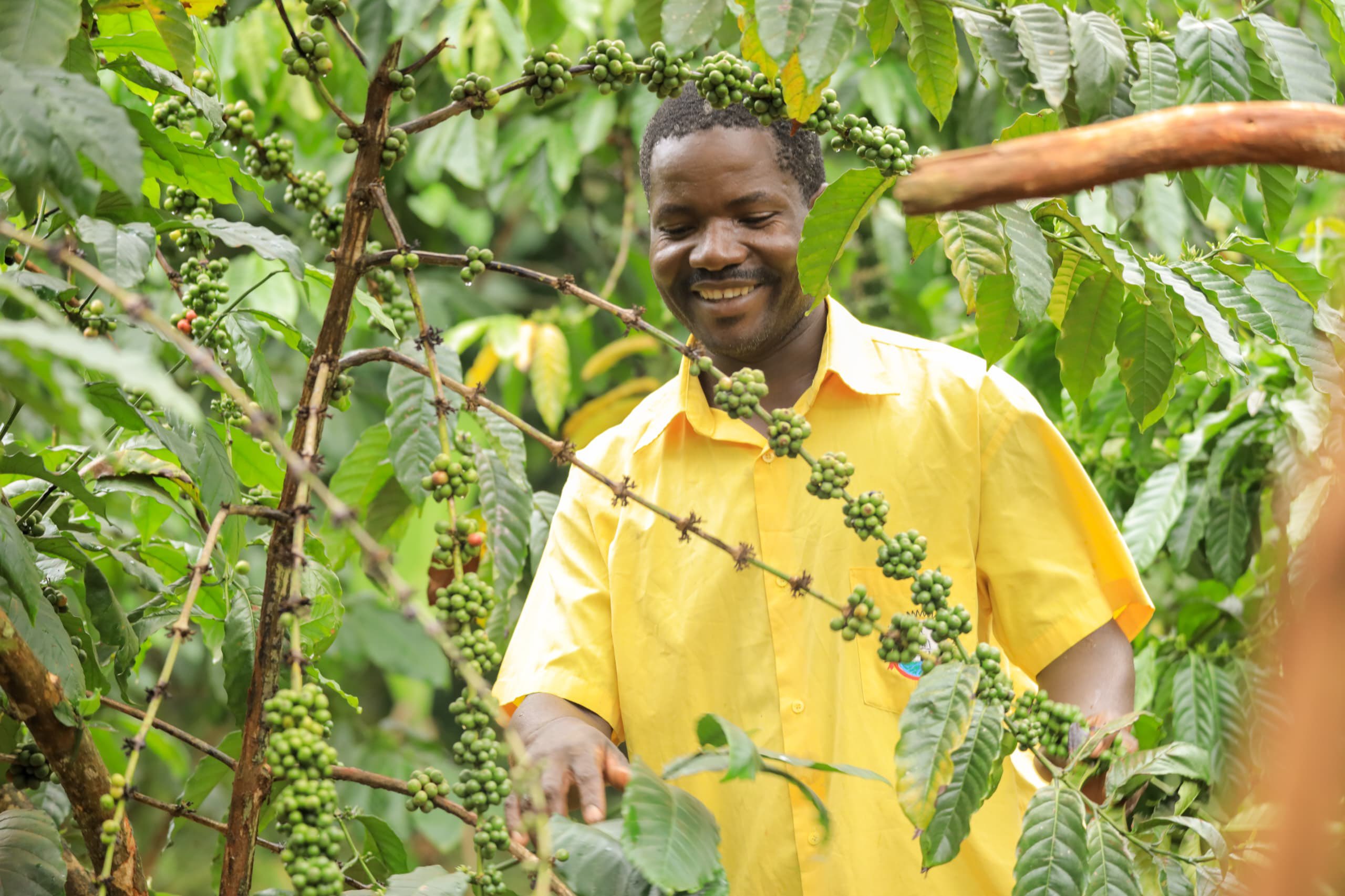 Hope and Enterprise on Half an Acre, Muhereza Wako’s Journey