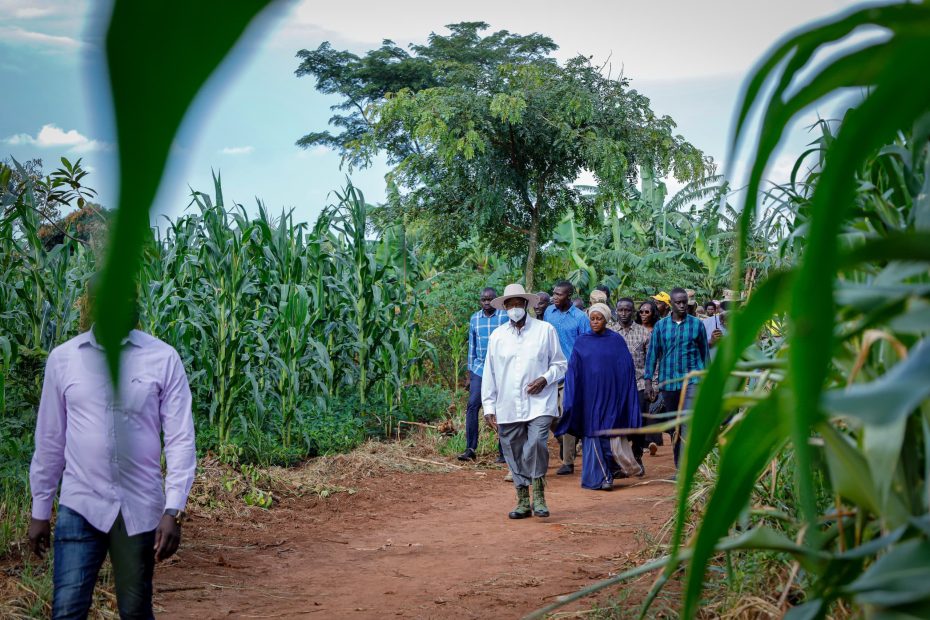 Model of Progress, Supporting Farmers Like Mariam Baiga in the Journey to Prosperity