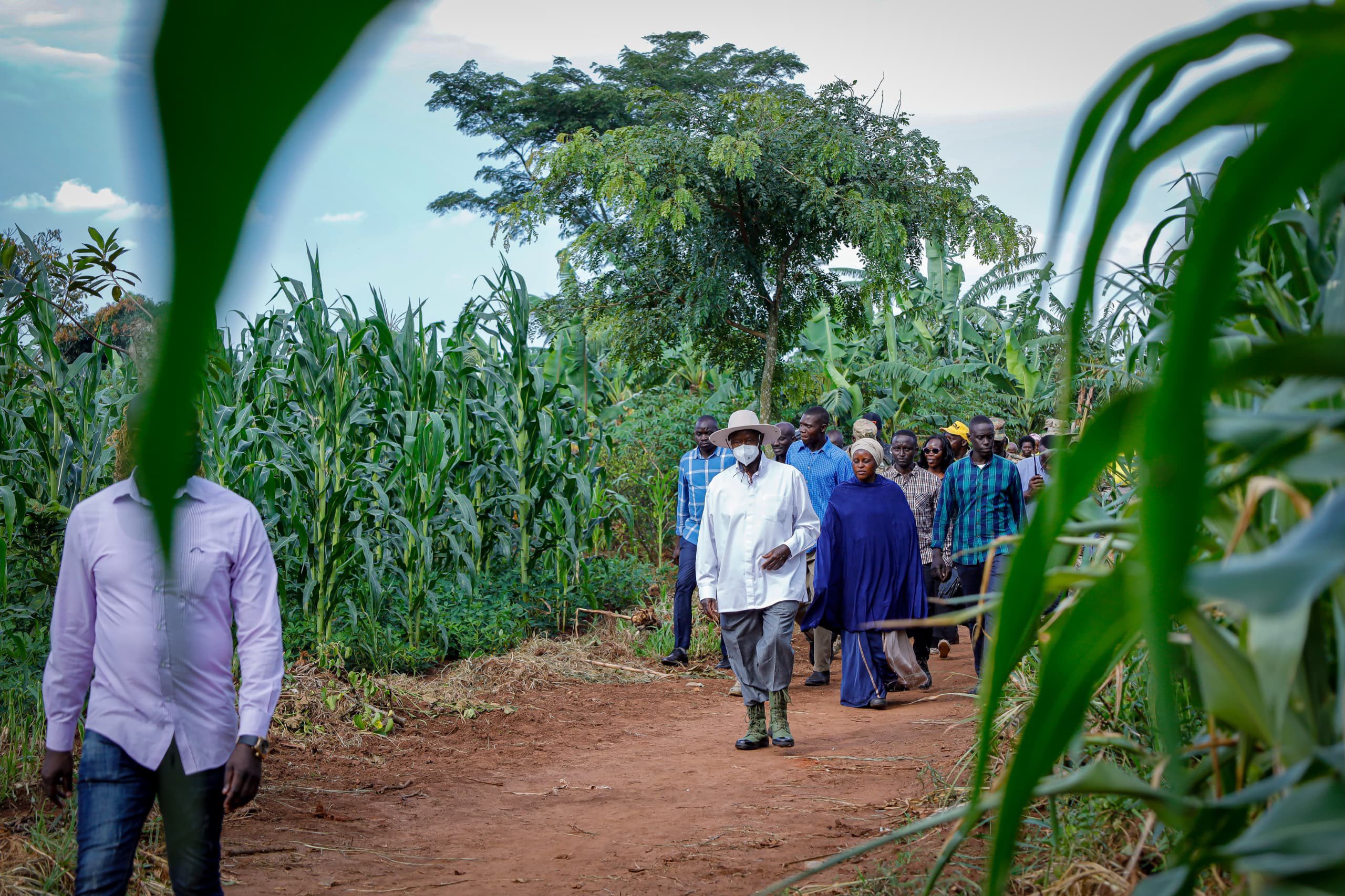 Model of Progress, Supporting Farmers Like Mariam Baiga in the Journey to Prosperity