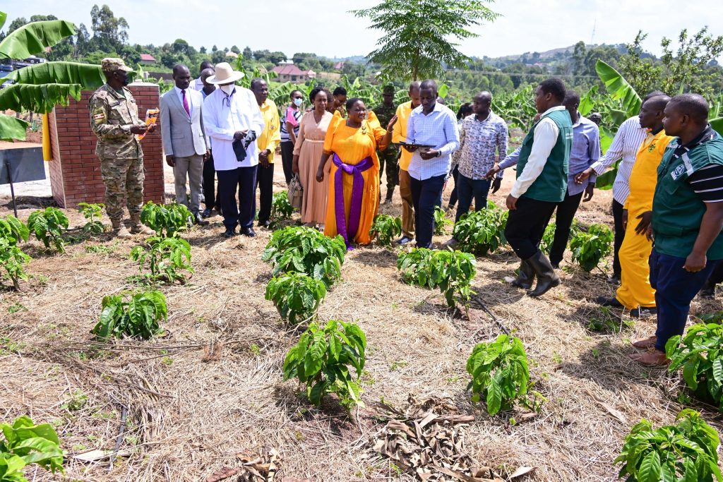  Thanksgiving and Development Milestones in Kakumiro District