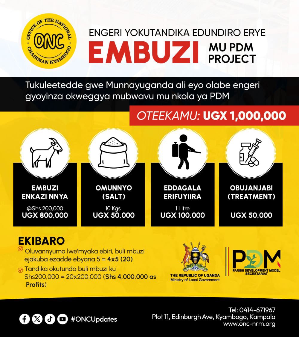 Embuzi