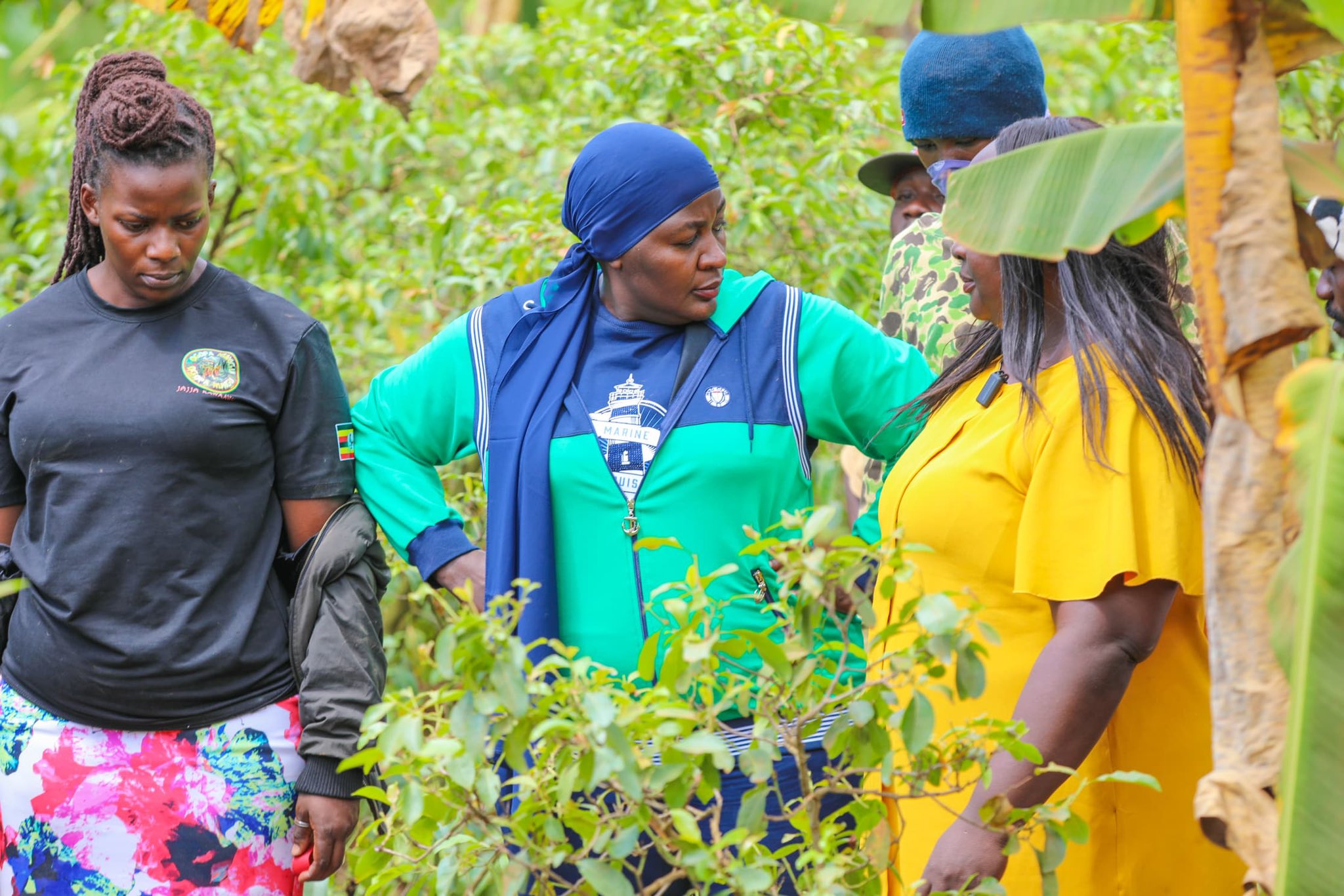 ONC Manager Hajjat Hadijah Namyalo Engages Wakiso Khat Farmers on Sector Challenges and Sustainable Solutions ONC Manager Hajjat Hadijah Namyalo Engages Wakiso Khat Farmers on Sector Challenges and Sustainable Solutions