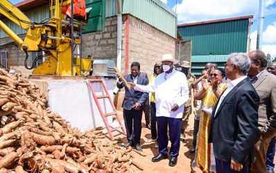 Boosting Industrial Growth and Food Value Addition Through Cassava Processing in Nakasongola