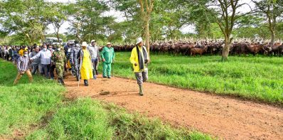 Calling Uganda to Action to Drive Wealth Creation through Commercial Agriculture