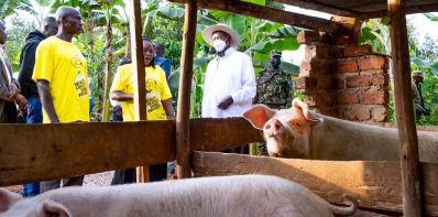 Celebrating the Success of Young Entrepreneurs Like Harriet Nampa Through the PDM Program