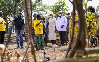 Empowering Farmers, Rose and Vicky’s Journey with PDM