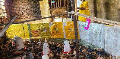 Empowering Through Opportunity like Biira’s Story and Uganda’s Path to Self-Reliance