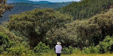 Exploring Maramagambo A Glimpse of Eastern Africa's Natural Beauty