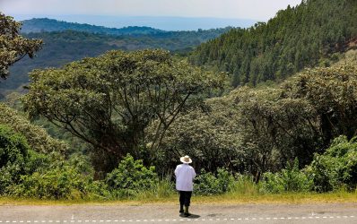 Exploring Maramagambo A Glimpse of Eastern Africa's Natural Beauty