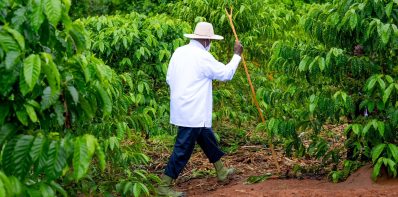 Faith in Action Championing Wealth Creation in Busunju