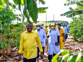 From Maize to Millions see How Coffee Farming Transformed a Life in Kamwenge