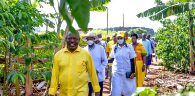 From Maize to Millions see How Coffee Farming Transformed a Life in Kamwenge