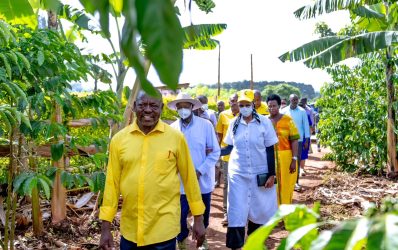 From Maize to Millions see How Coffee Farming Transformed a Life in Kamwenge