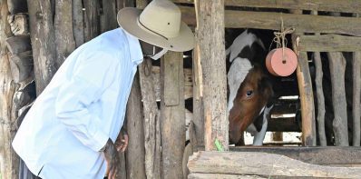 From Piglets to Prosperity: Mr. Kutosi's PDM Success Story