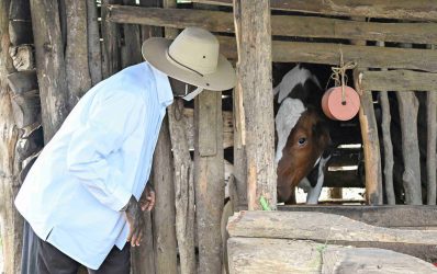 From Piglets to Prosperity: Mr. Kutosi's PDM Success Story