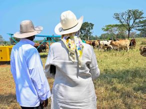 Harnessing Land for Prosperity, Jowel Okello’s Success in Lango