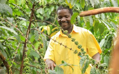 Hope and Enterprise on Half an Acre, Muhereza Wako’s Journey