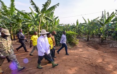 I concluded my day visiting Mrs Ahimbisibwe Harriet from Ibanda District. As I tour these farmers It is good to see that people have woken up. In the 1960s, only 10% of the population participated in the money economy, while 90% remained asleep. Now, 68% are engaged in the money economy. The leaders should investigate the cases of extortion of PDM money. We shall definitely lock up the thieves.