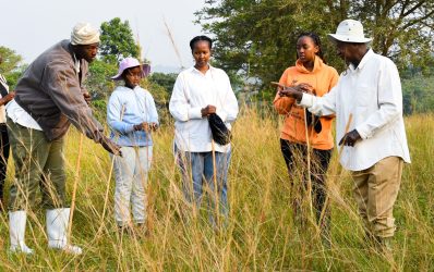 Okusetura, Preserving Tradition and Advancing Livestock Practices
