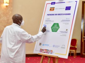 President Museveni's Suggestions for Forest Protection