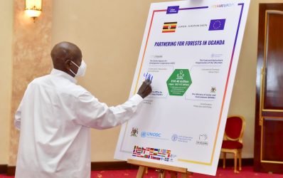 President Museveni's Suggestions for Forest Protection