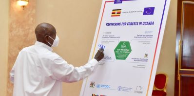 President Museveni's Suggestions for Forest Protection