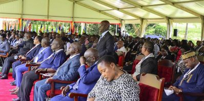The Role of Public Servants in Guiding Principles for National Progress