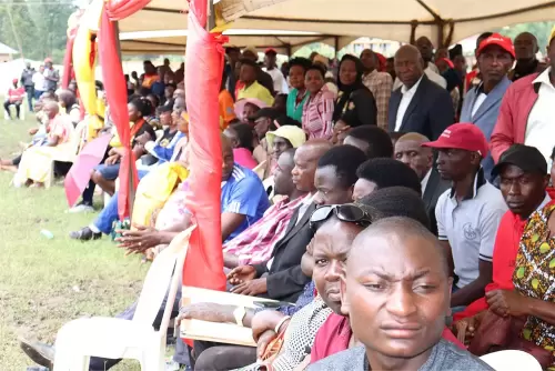 Youth Day Celebrations in Bushenyi District